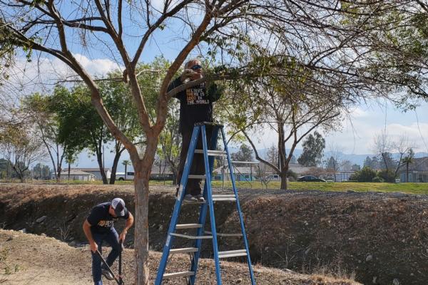 Local Cleanups & Beautification